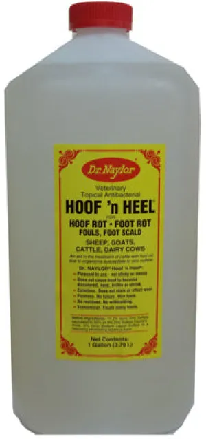 128 OZ Top Antibacterial
