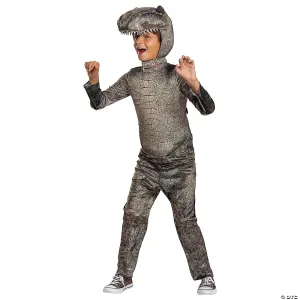 Kids Jurassic Park T-Rex Adapative Costume - Large