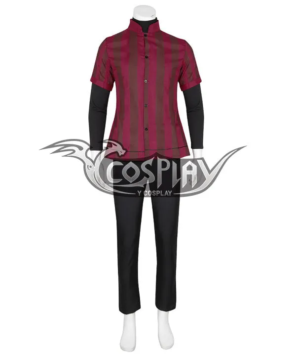 The Legend of Zelda: Breath of the Wild Link Royal Guard DLC Cosplay Costume
