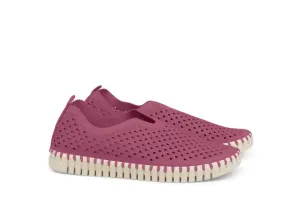 Wild Berry Tulip Shoes