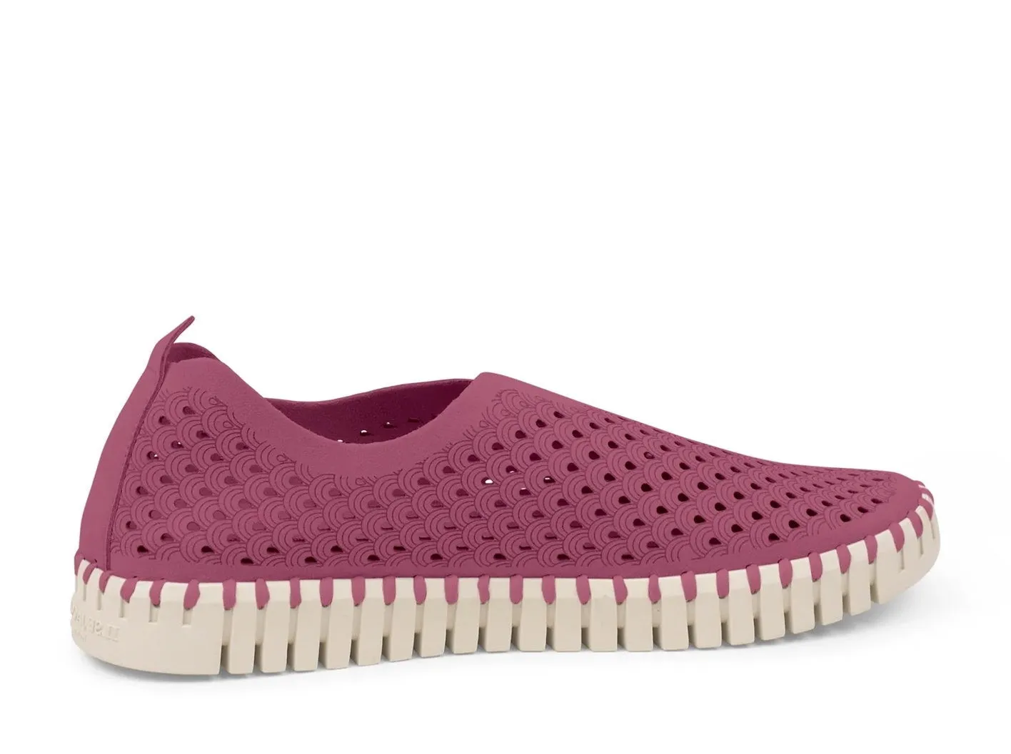 Wild Berry Tulip Shoes
